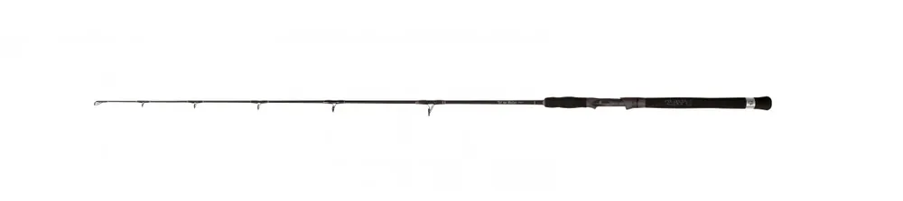 Akce Black Cat Rybářský Prut Cat Buster Vertical 1,7m 100-200g