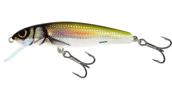 Nejprodávanější Salmo Wobler Minnow Floating M5F 5cm