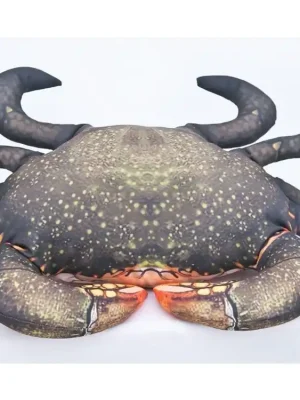 Krab bahenní - 60 cm polštářek Akce