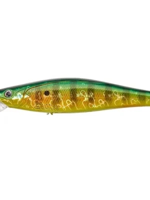 Gamera 15cm SP Fire Gold Perch Získejte slevu -5% za registraci v e-shopu Omezená Nabídka