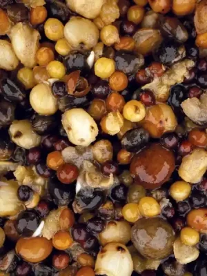 Výprodej Nash Small Seed Mix 2.5 litre Liquid